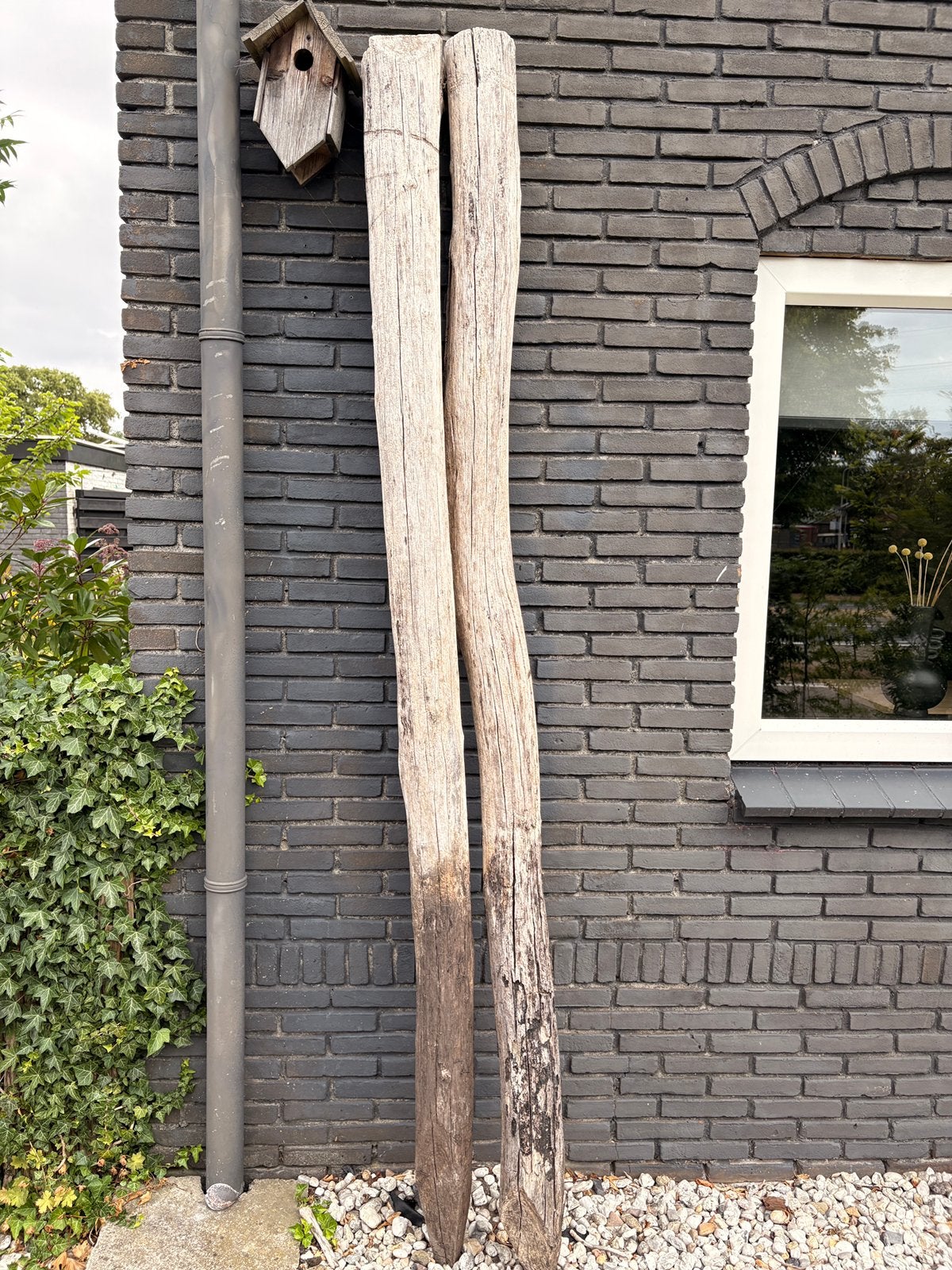 Robinia houten palen 2 st. - 15cm doorsnee - 240cm hoog, Ophalen, Zo goed als nieuw, 250 cm of meer, Palen