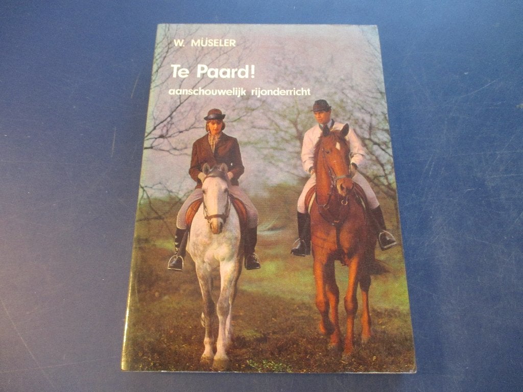 Te paard - aanschouwelijk rijonderricht, Boeken, Ophalen of Verzenden, Gelezen, Paarden of Pony's