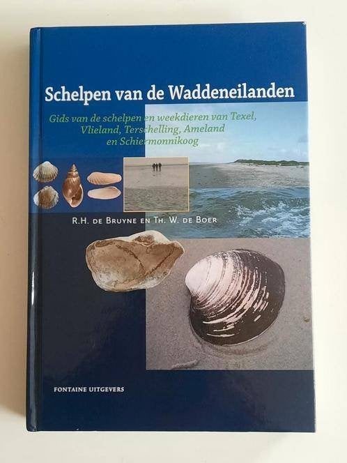 Schelpen van de waddeneilanden . R. de Bruyne, Boeken, Natuur, Ophalen of Verzenden, Zo goed als nieuw, R. de Bruyne