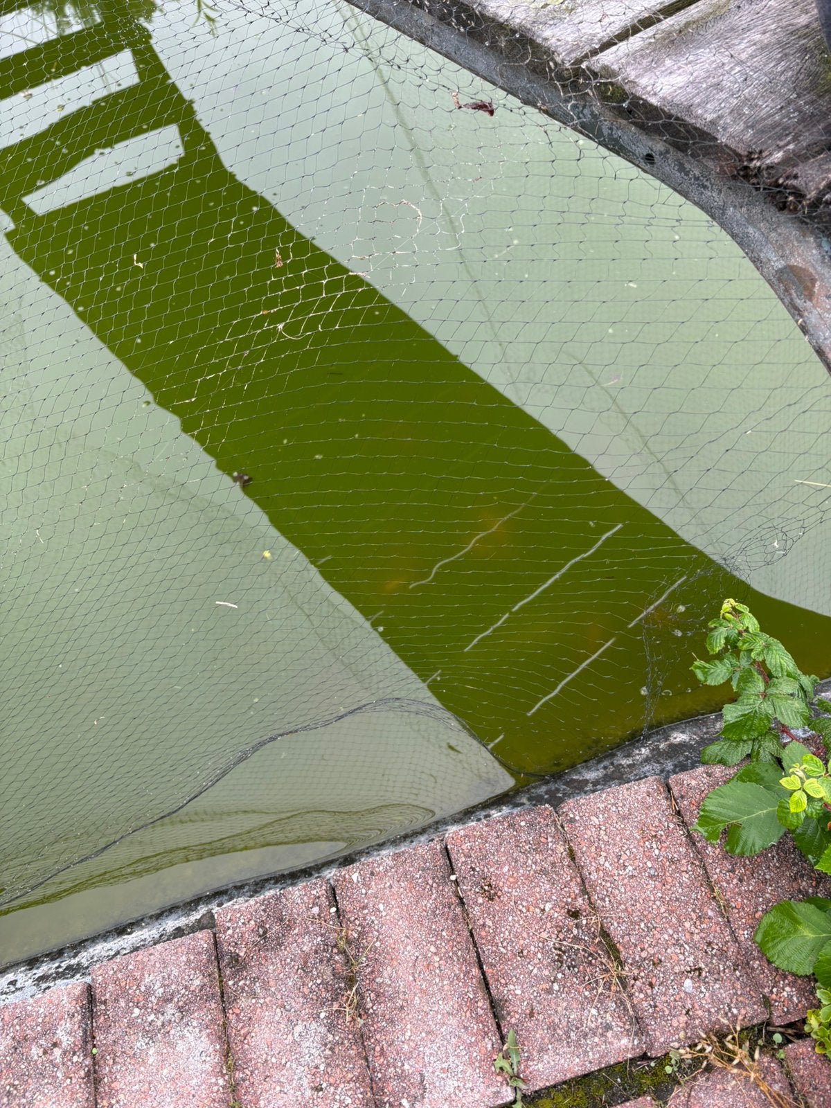 Vijvervissen ong 100 stuks, Ophalen, Glas, Zo goed als nieuw, Aluminium