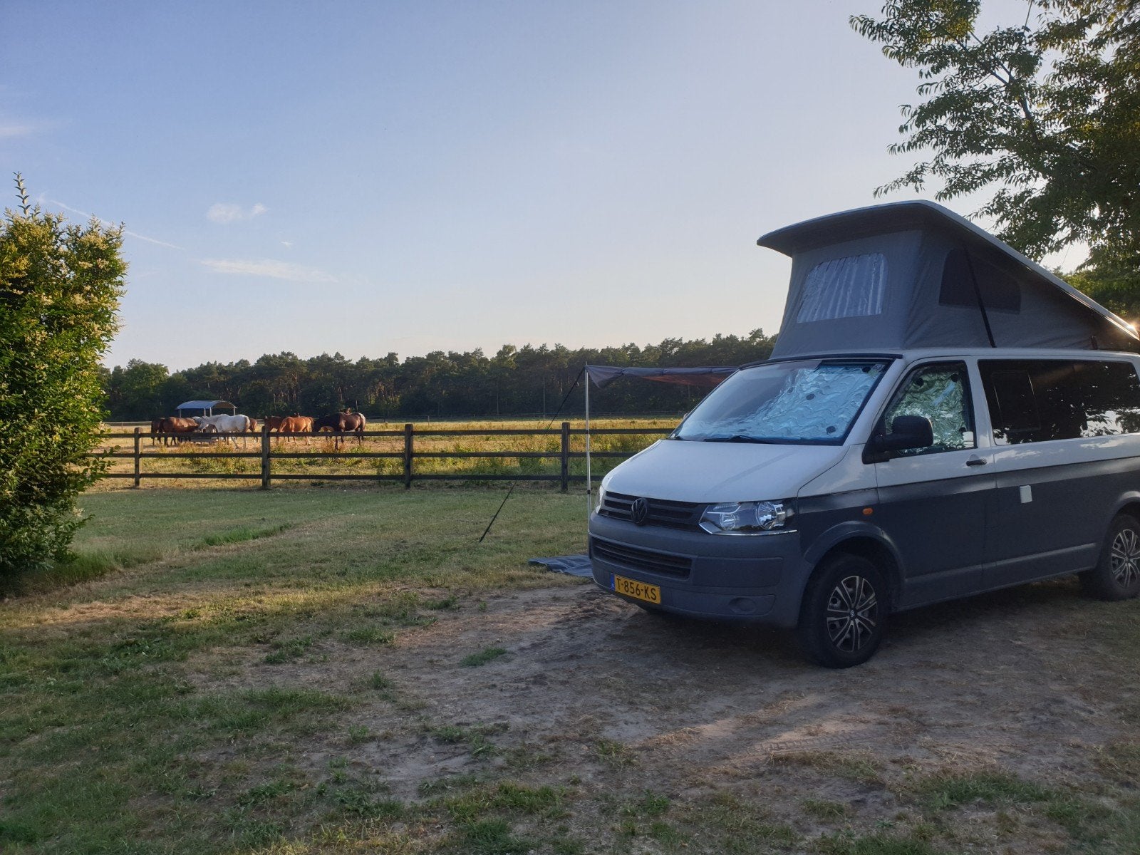 Volkswagen T5 Camperbus, Buscamper of Camperbus, Volkswagen, Tot en met 2, Particulier