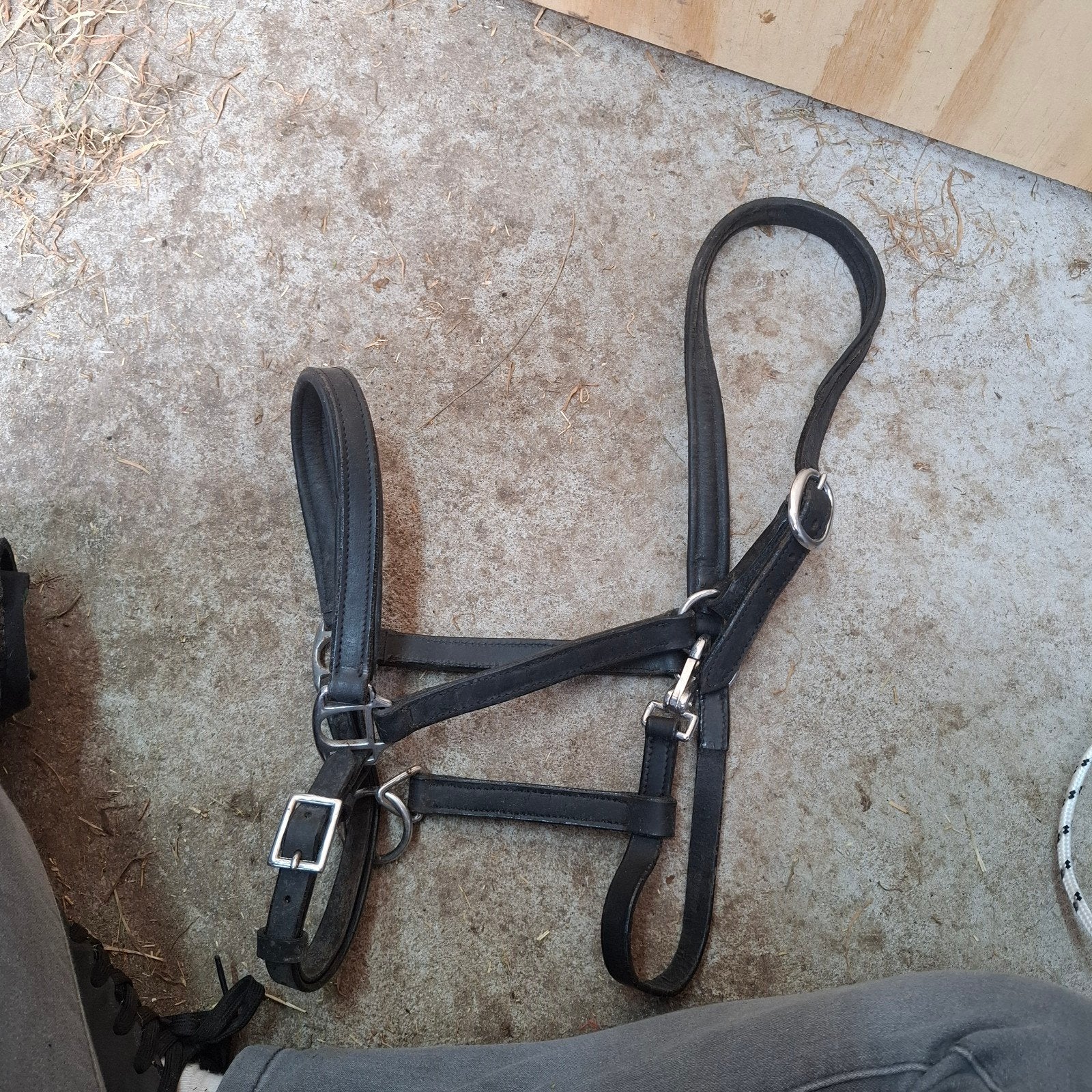 Leren halster paard full nieuw, Ophalen of Verzenden, Nieuw, Overige soorten
