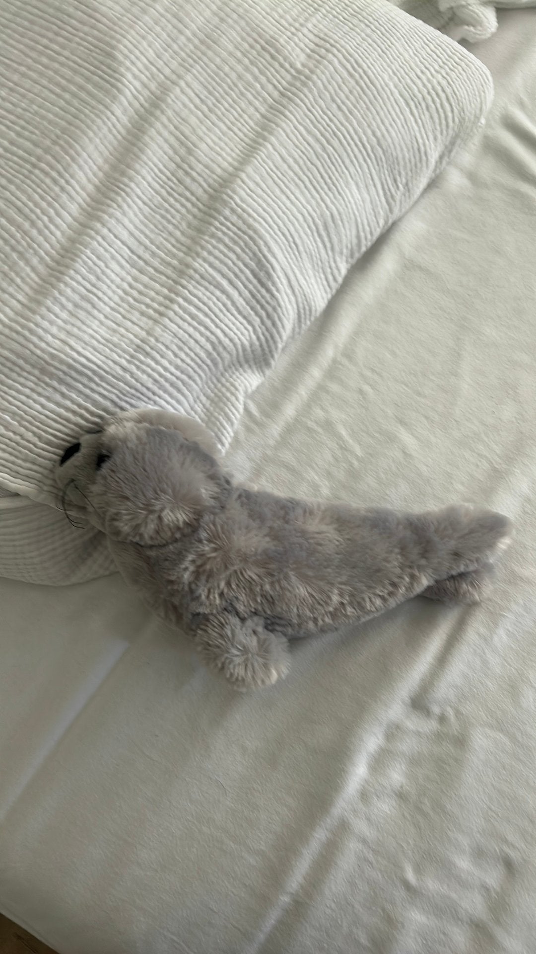 Zee hond knuffel, Ophalen of Verzenden, Zo goed als nieuw, Hond
