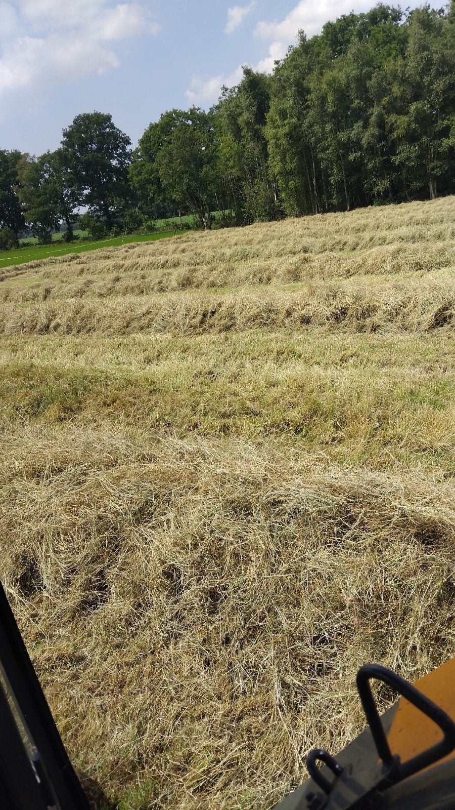 rondebalen balen hooi hooibalen, Dieren en Toebehoren, Dierenvoeding, Ophalen, Vee