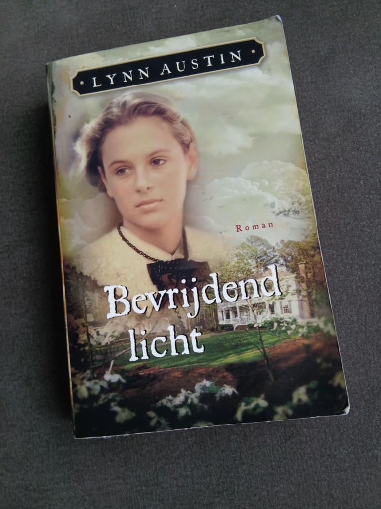 Bevrijdend Licht - Lynn Austin (Roman), Boeken, Ophalen of Verzenden, Gelezen, Lynn Austin, Amerika