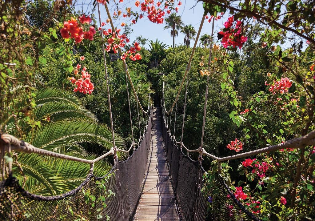 Jungle fotobehang Touwbrug vlies 416 x 254 cm * AANBIEDING, Verzenden, 10 tot 25 m², Jungle, brug, 3D