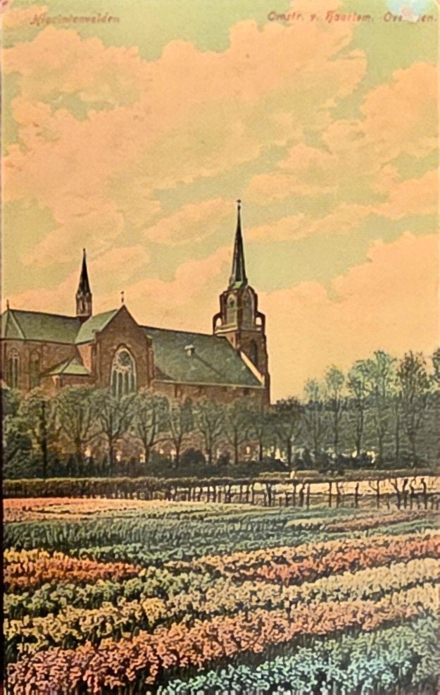 bollenvelden omgeving Haarlem, Ophalen of Verzenden