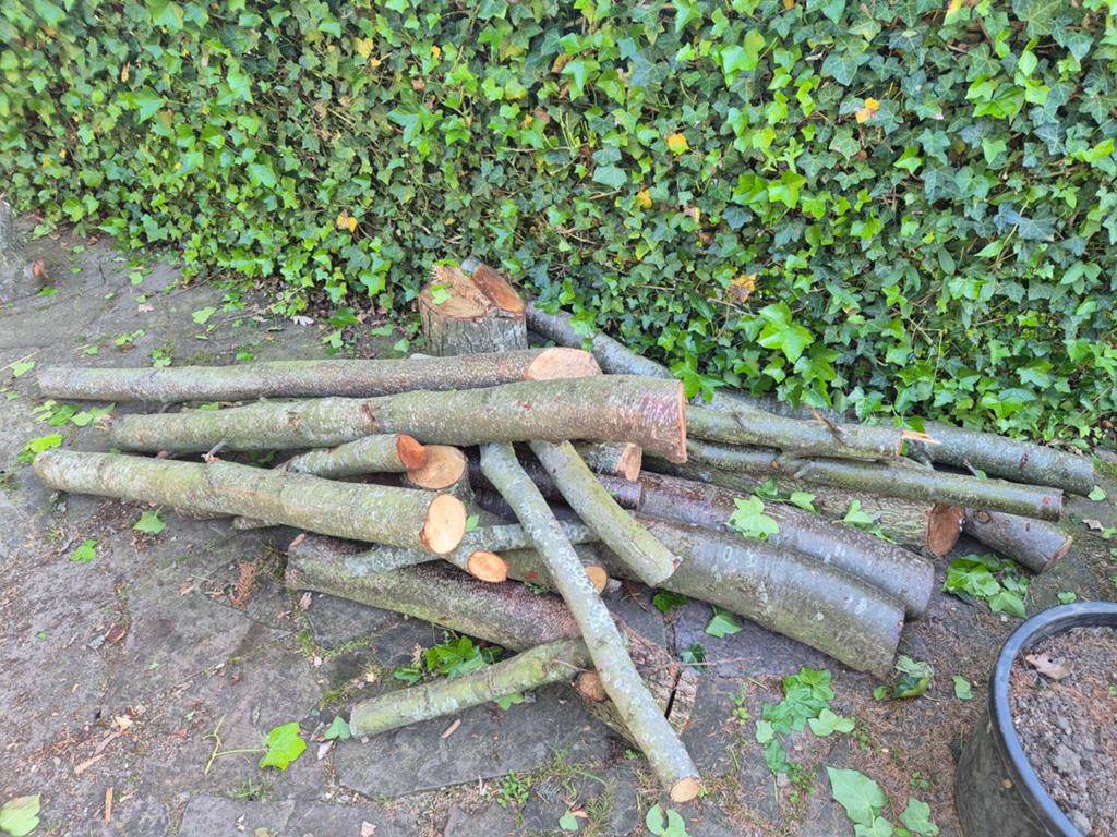 Haardhout Els, Tuin en Terras, Haardhout, Minder dan 3 m³, Ophalen