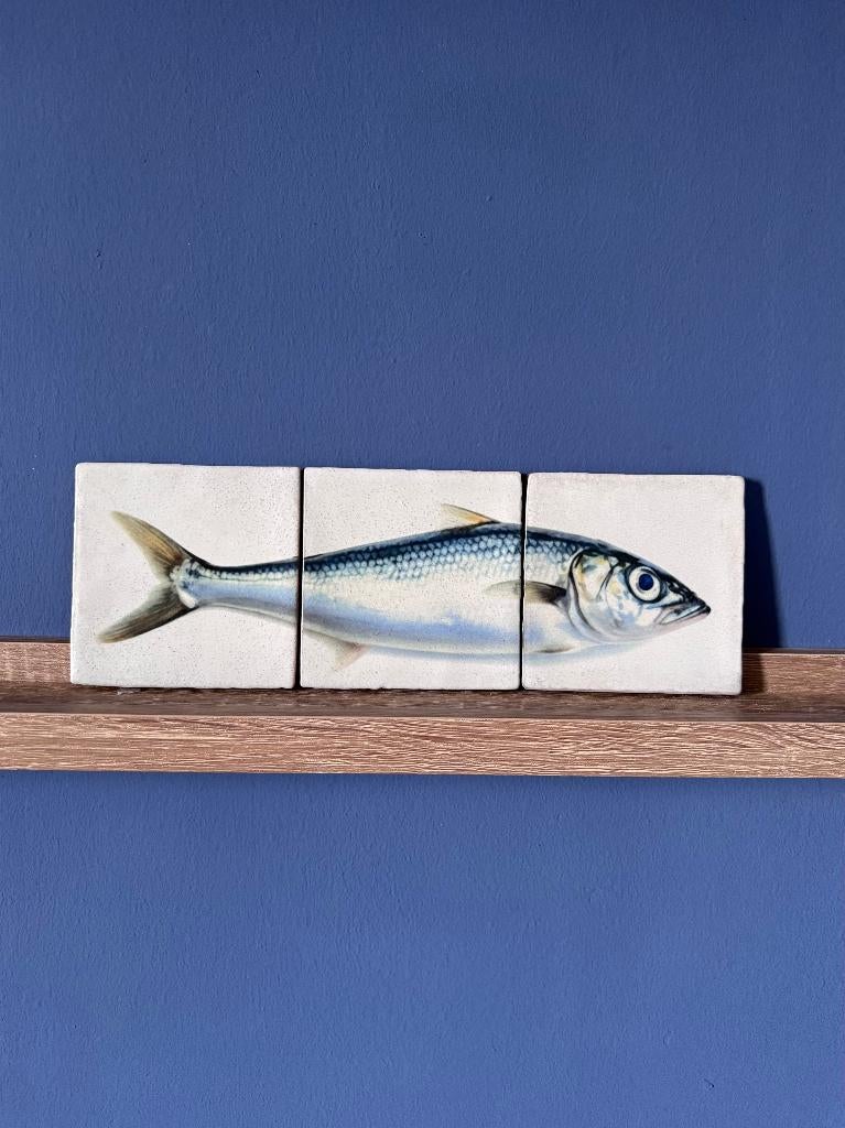 Tegels Haring, Antiek en Kunst, Antiek | Wandborden en Tegels, Ophalen of Verzenden