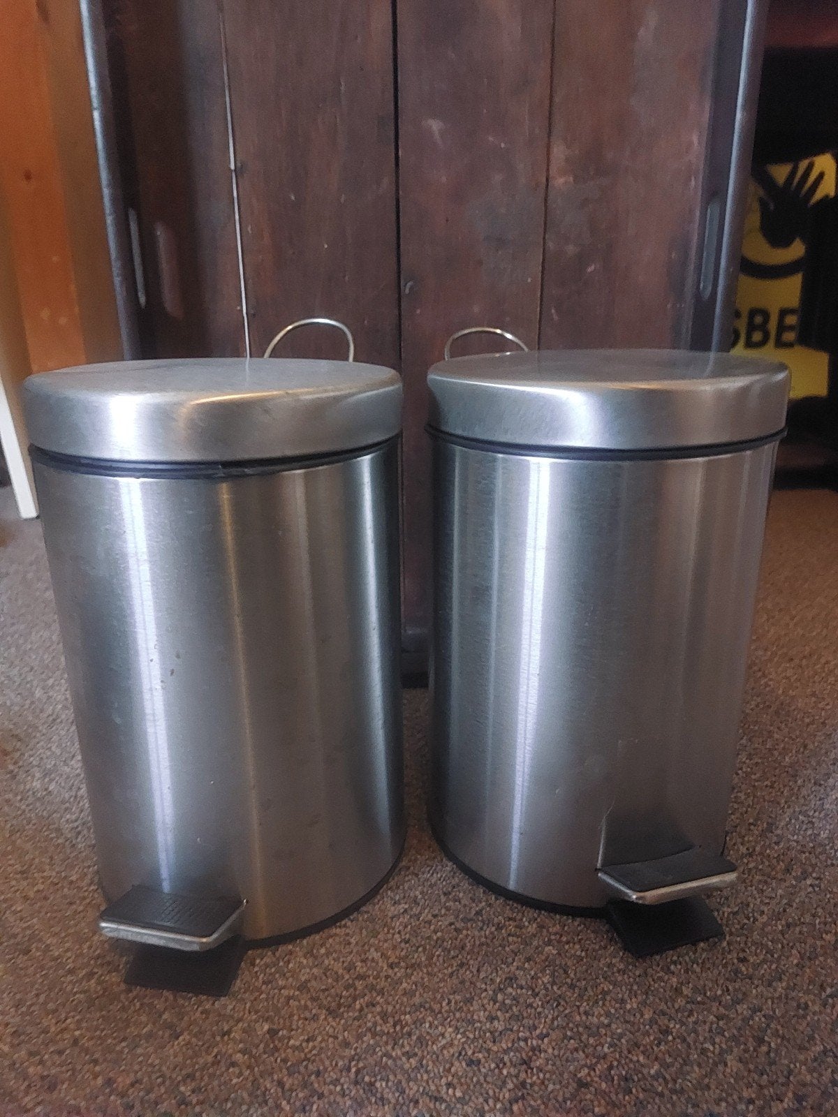 Set van 2 RVS pedaalemmers - 10 liter, Gebruikt, Met pedaal, Ophalen of Verzenden, Rvs