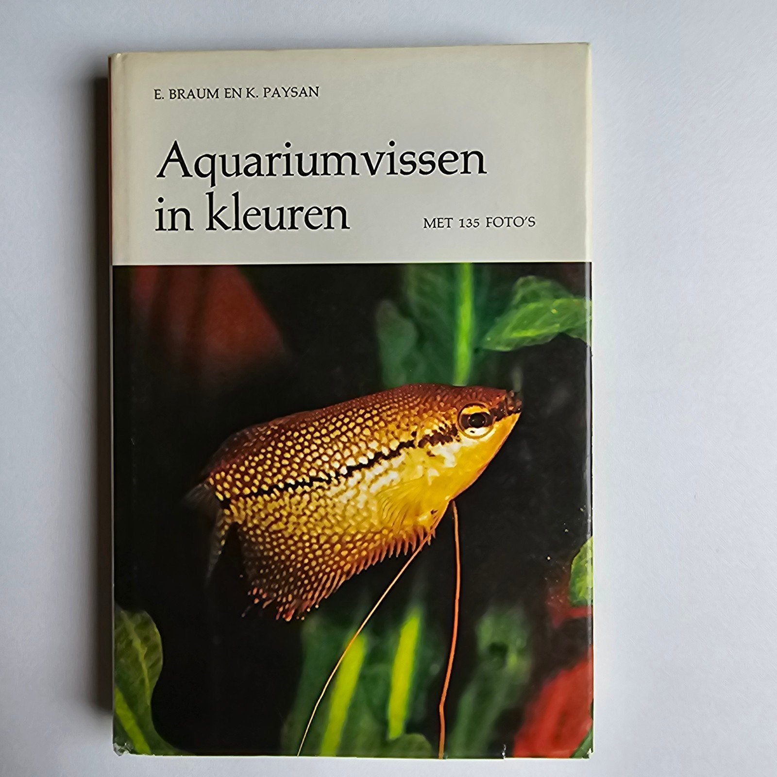 Aquariumvissen in kleuren
