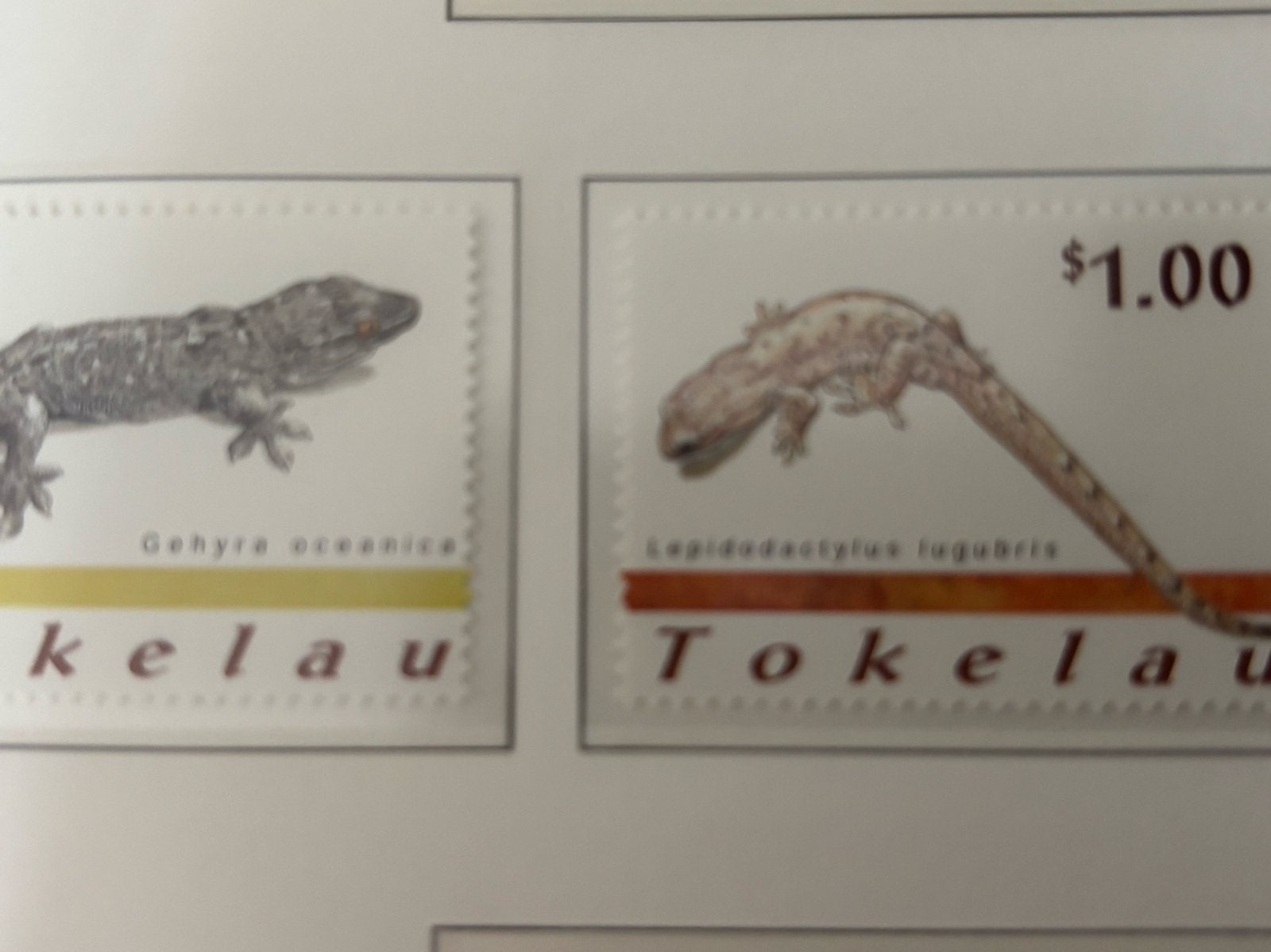 Tokelau-eilanden 2001 serie van vier, Ophalen of Verzenden, Postfris