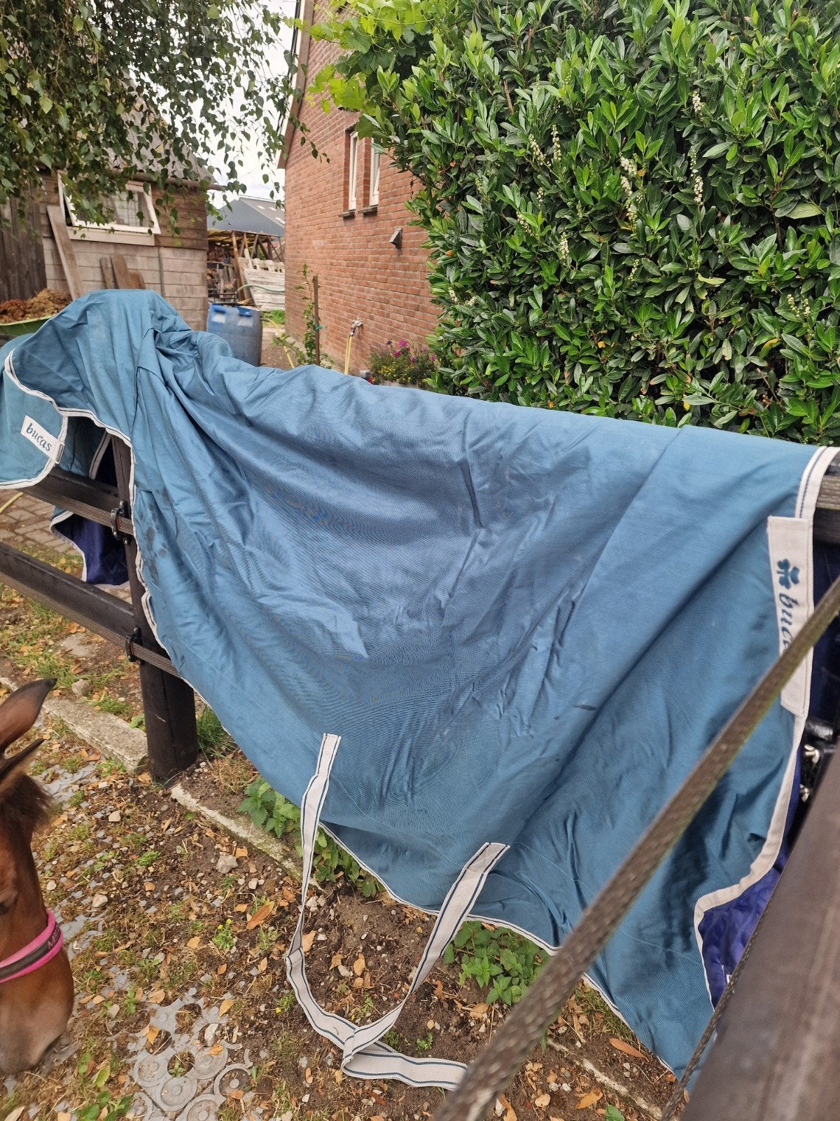 Te  koop, Dieren en Toebehoren, Paarden en Pony's | Dekens en Dekjes, Ophalen, Zo goed als nieuw