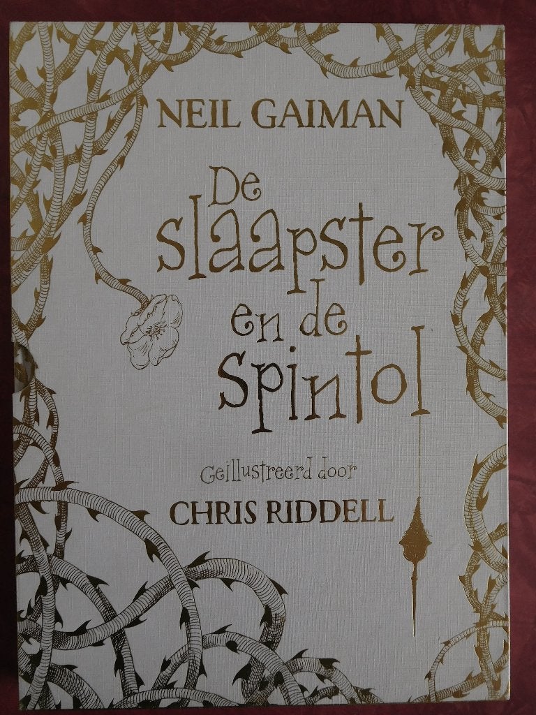 De slaapster en de spintol  Neil Gaiman, Ophalen of Verzenden, Zo goed als nieuw