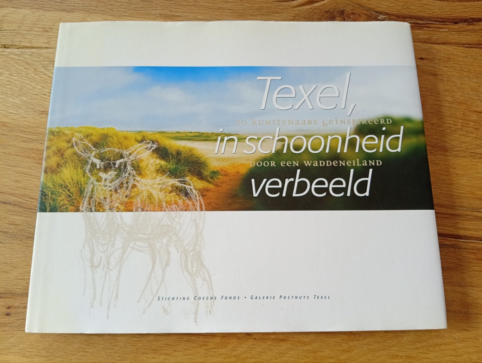 Texel in schoonheid verbeeld - Kunstboek Waddeneiland, Ophalen of Verzenden, Zo goed als nieuw, Overige onderwerpen, Diverse kunstenaars