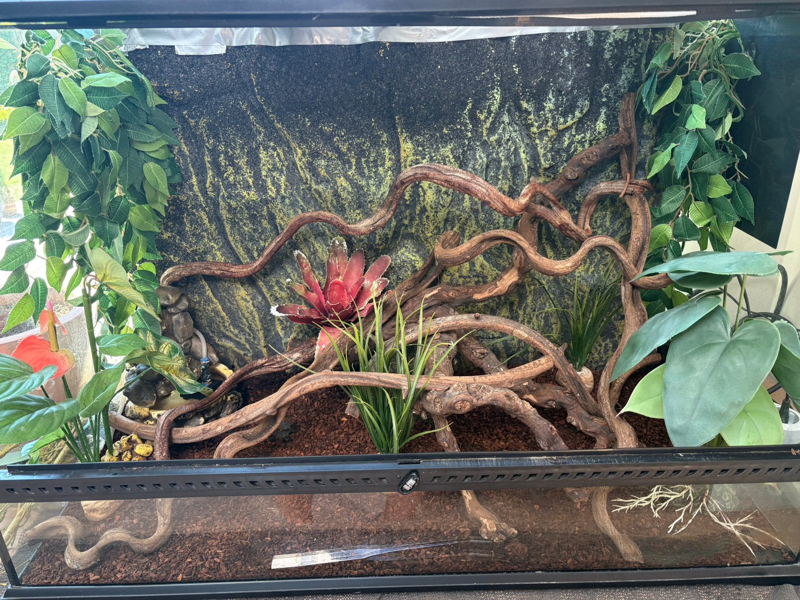 Tweedehands terrarium 90x60x45, Dieren en Toebehoren, Ophalen, Gebruikt, Terrarium of Paludarium
