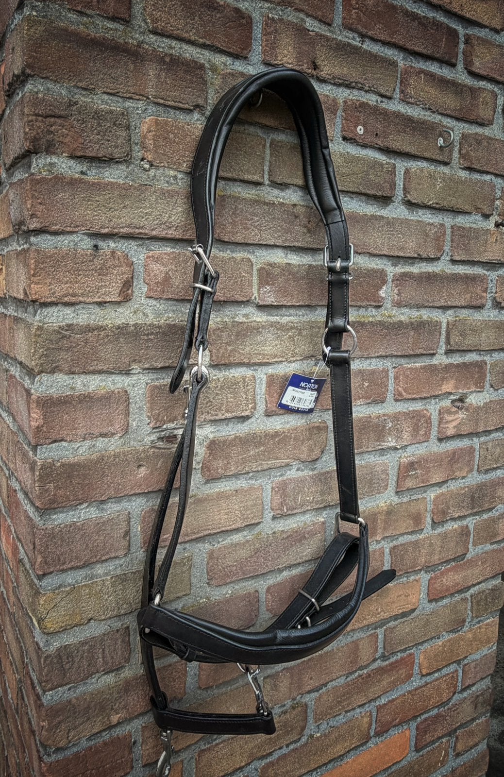 Gloednieuw lederen trekpaardhalster, Dieren en Toebehoren, Paarden en Pony's | Hoofdstellen en Tuigage, Overige disciplines, Verstelbaar