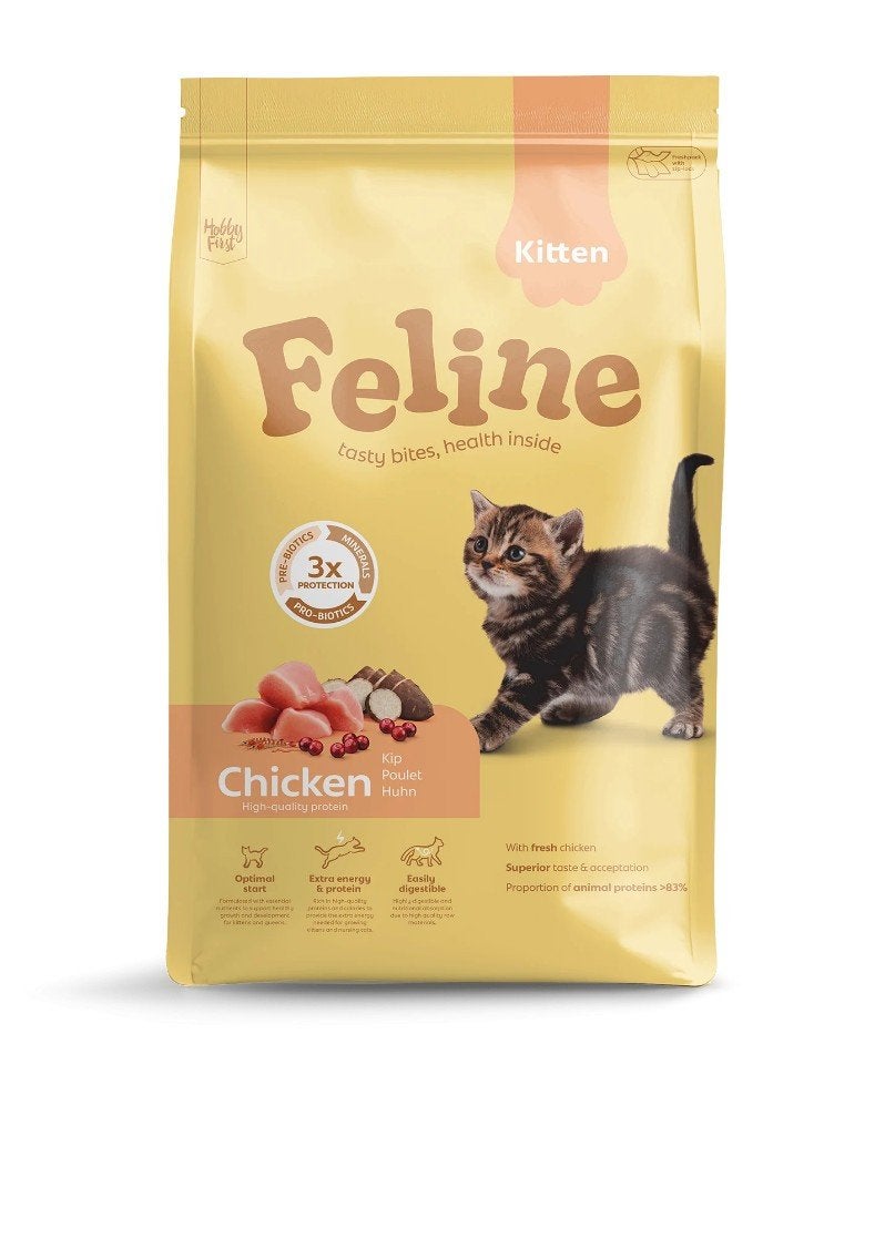 Feline chicken kitten, Ophalen of Verzenden, Kat