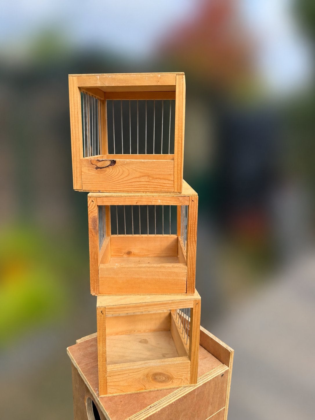 Broedkooitje kanarie, Ophalen, Gebruikt, Hout, Broedkooi of Kweekkooi