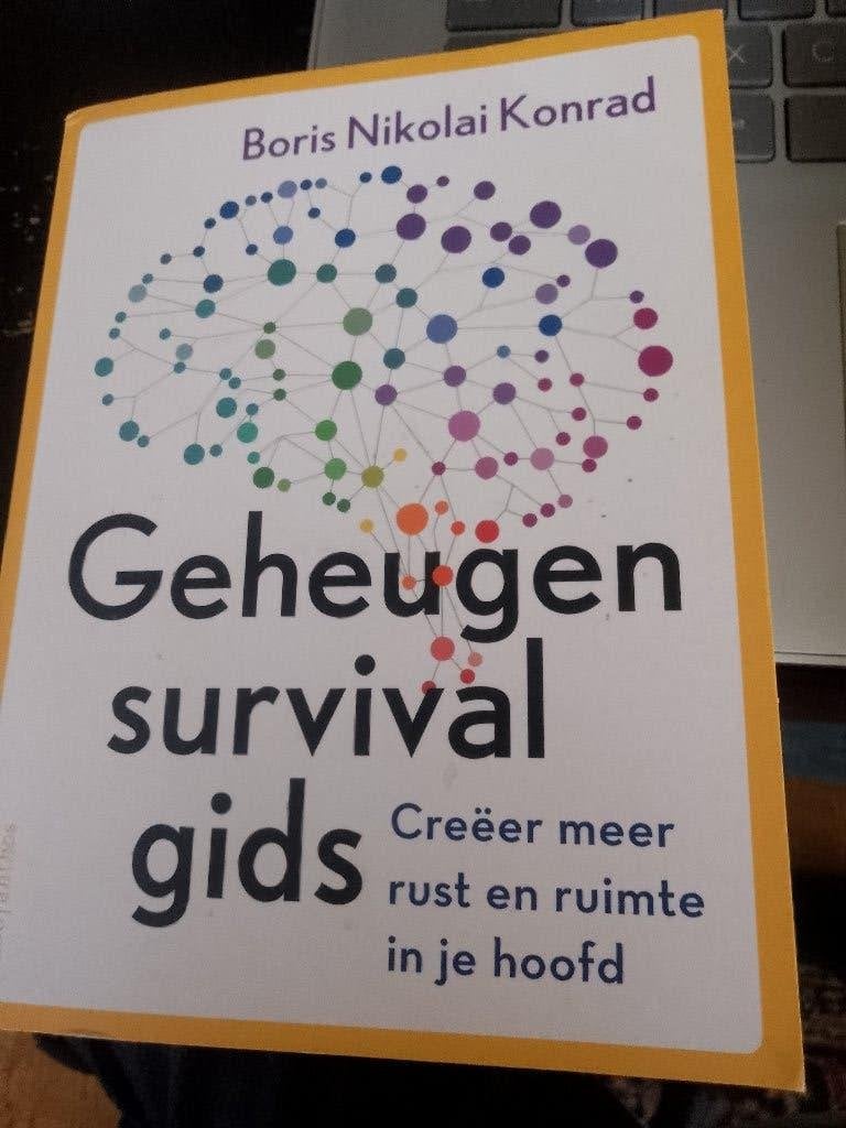 boek geheugen survival gids creeer meer rust en ruimte, Ophalen of Verzenden, Zo goed als nieuw, Tarot of Kaarten leggen, Overige typen