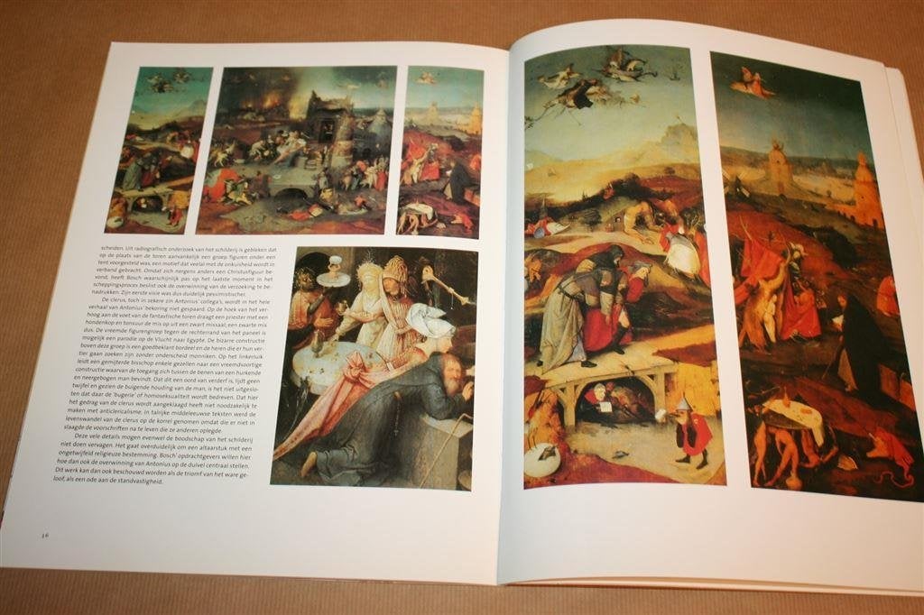 Jheronimus Bosch [Jeroen Bosch], Ophalen of Verzenden, Gelezen