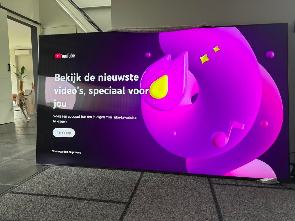 Samsung 85 inch Neo QLED QN95A (QE85QN95A) – Topmodel, Ophalen, Zo goed als nieuw