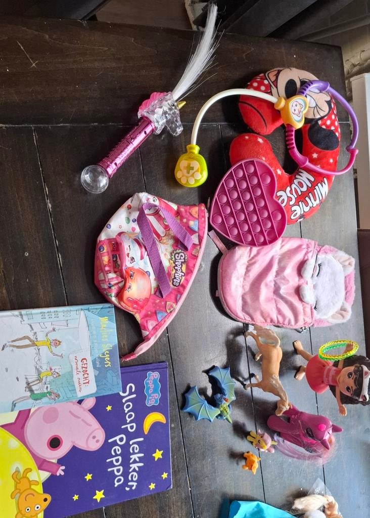 Grote speelgoedbundel: boeken, Minnie Mouse, Shopkins & meer, Ophalen, Gebruikt, Meisje