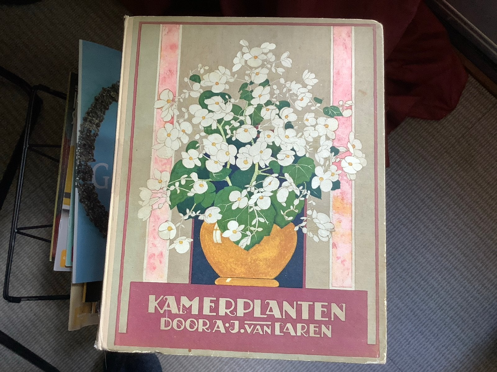 Kamerplanten - Doora J. van Laren. Verkade album, Ophalen of Verzenden, Gelezen, Kamerplanten