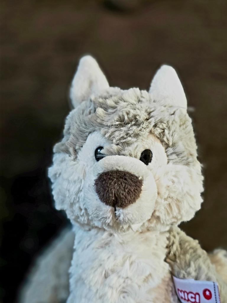 Nici Wolf Forest Friends knuffel 20 cm, NICI, Overige typen, Grijs, Ophalen of Verzenden
