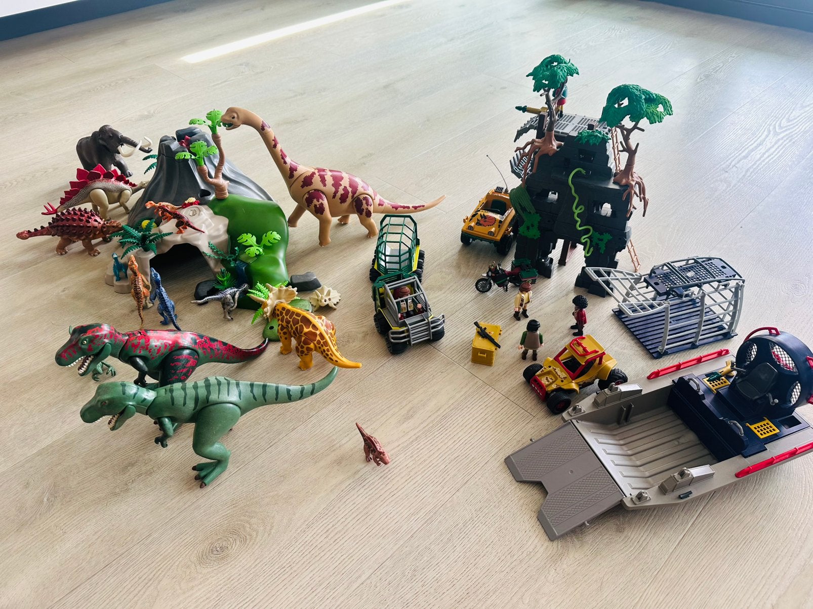 Grote Playmobil Dinosaurus set, Kinderen en Baby's, Speelgoed | Playmobil, Ophalen of Verzenden, Gebruikt