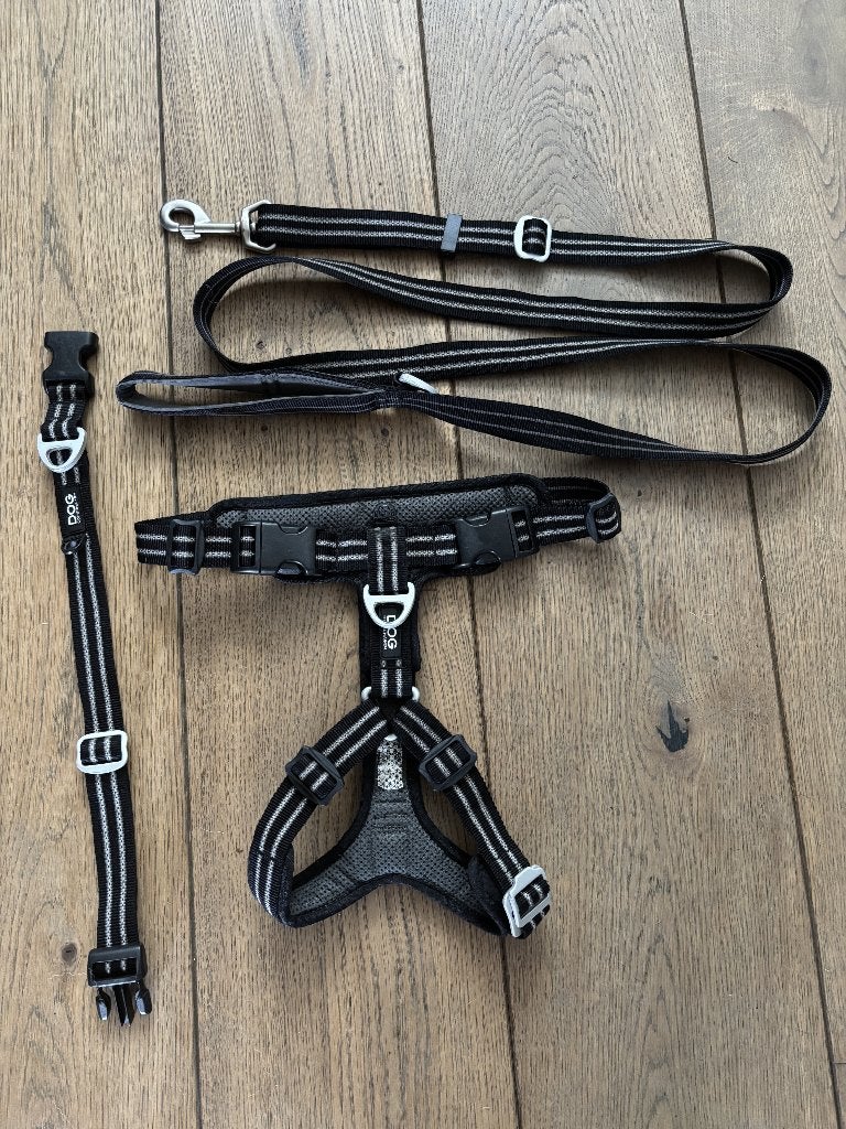 Dog Copenhagen - Tuig + halsband + riem (Zwart), Overige merken, Ophalen of Verzenden, Zo goed als nieuw, Hondentuig