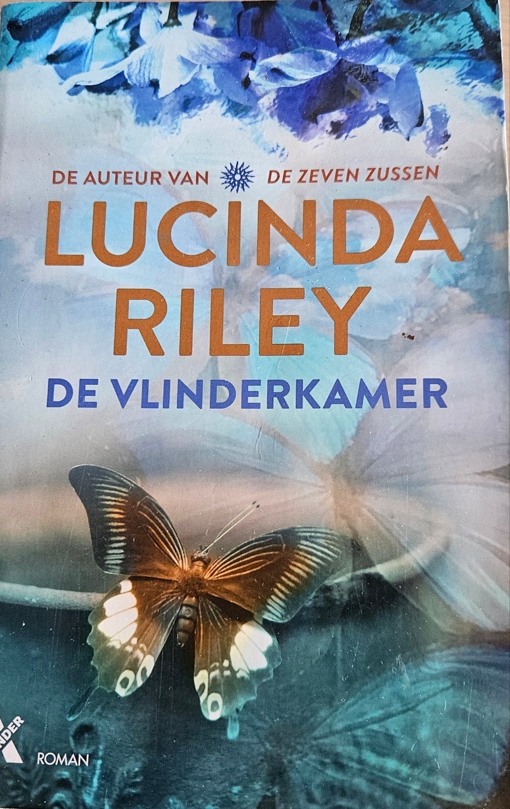 Lucinda Riley " De Vlinderkamer", Boeken, Romans, Ophalen of Verzenden, Zo goed als nieuw, Lucinda Riley, Europa overig