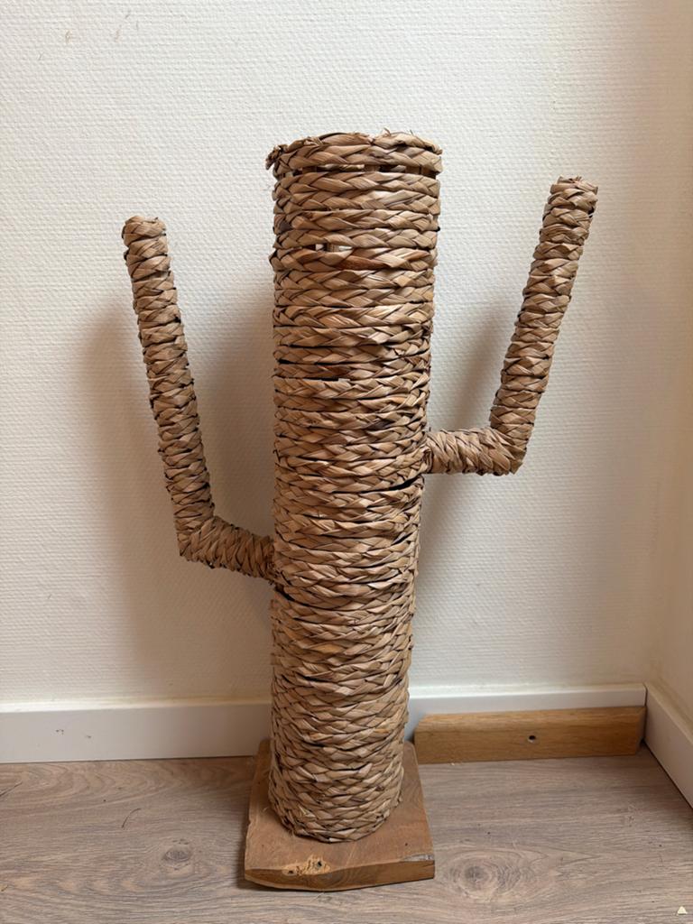 Decoratie cactus in bohemian stijl, Ophalen, Boho, Zo goed als nieuw, Natuurlijk materiaal