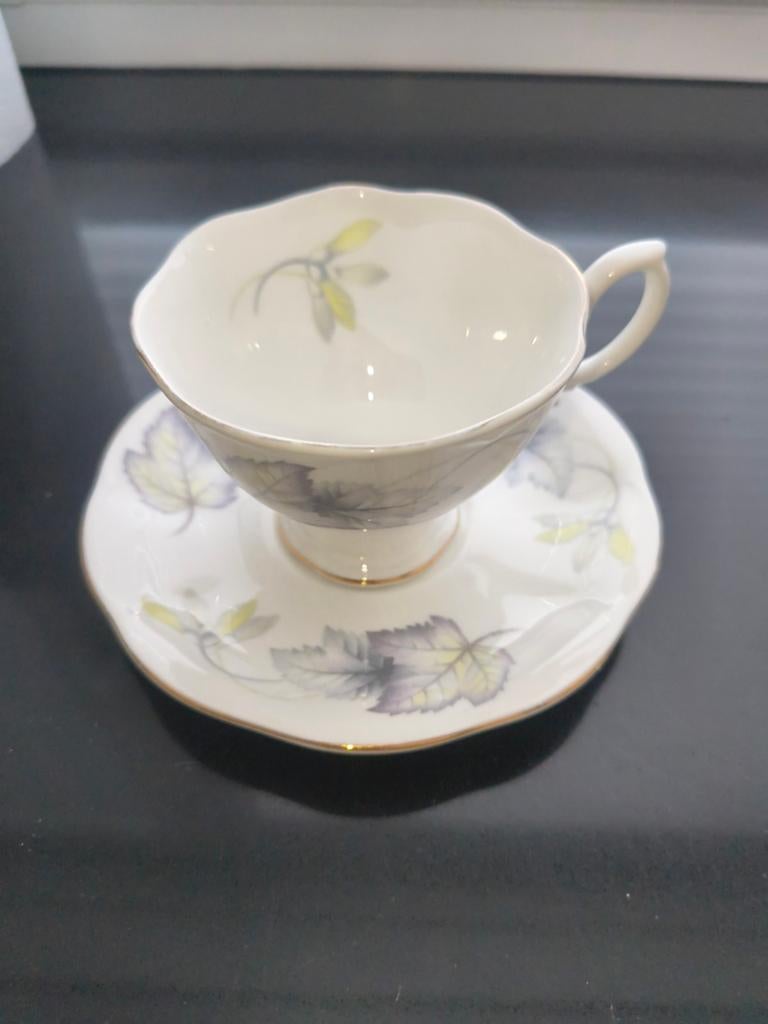 Royal Albert kop en schotel  'Silver Maple', Ophalen of Verzenden