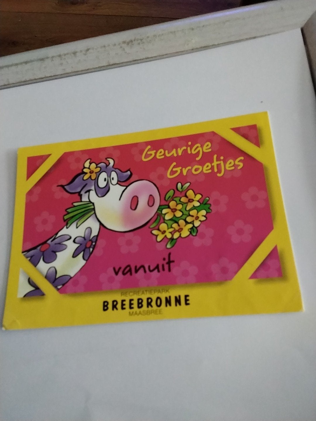 BEESTENBOEL geurige Groetjes BREEBRONNE Maasbree Koe, Ophalen of Verzenden, Gelopen