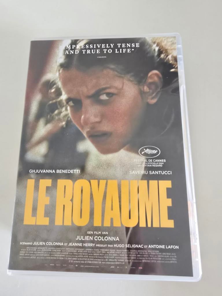Dvd le royaume 2024, Cd's en Dvd's, Dvd's | Filmhuis, Ophalen of Verzenden, Zo goed als nieuw, Frankrijk