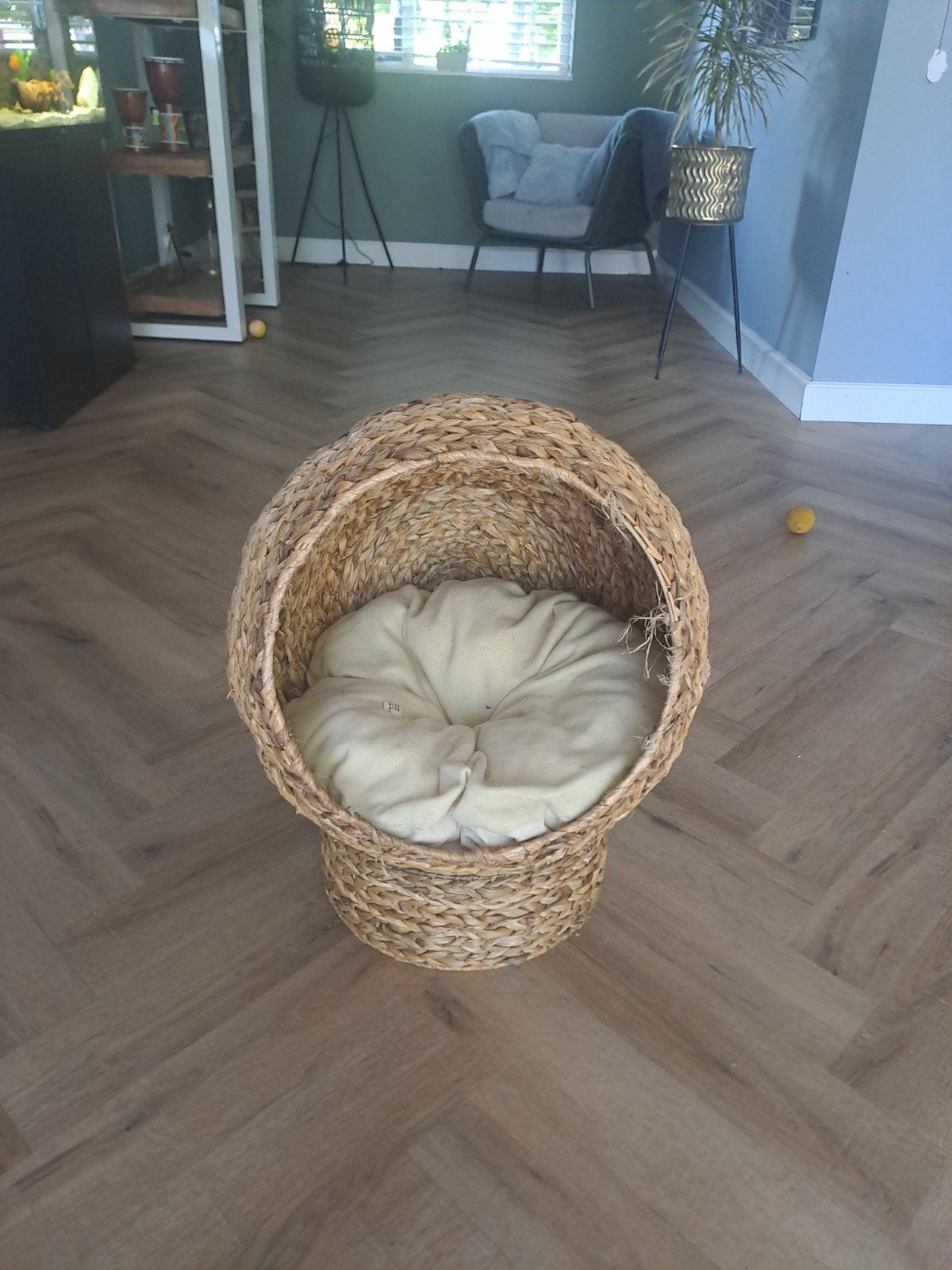 katten/honden mand, Ophalen, Gebruikt, Riet