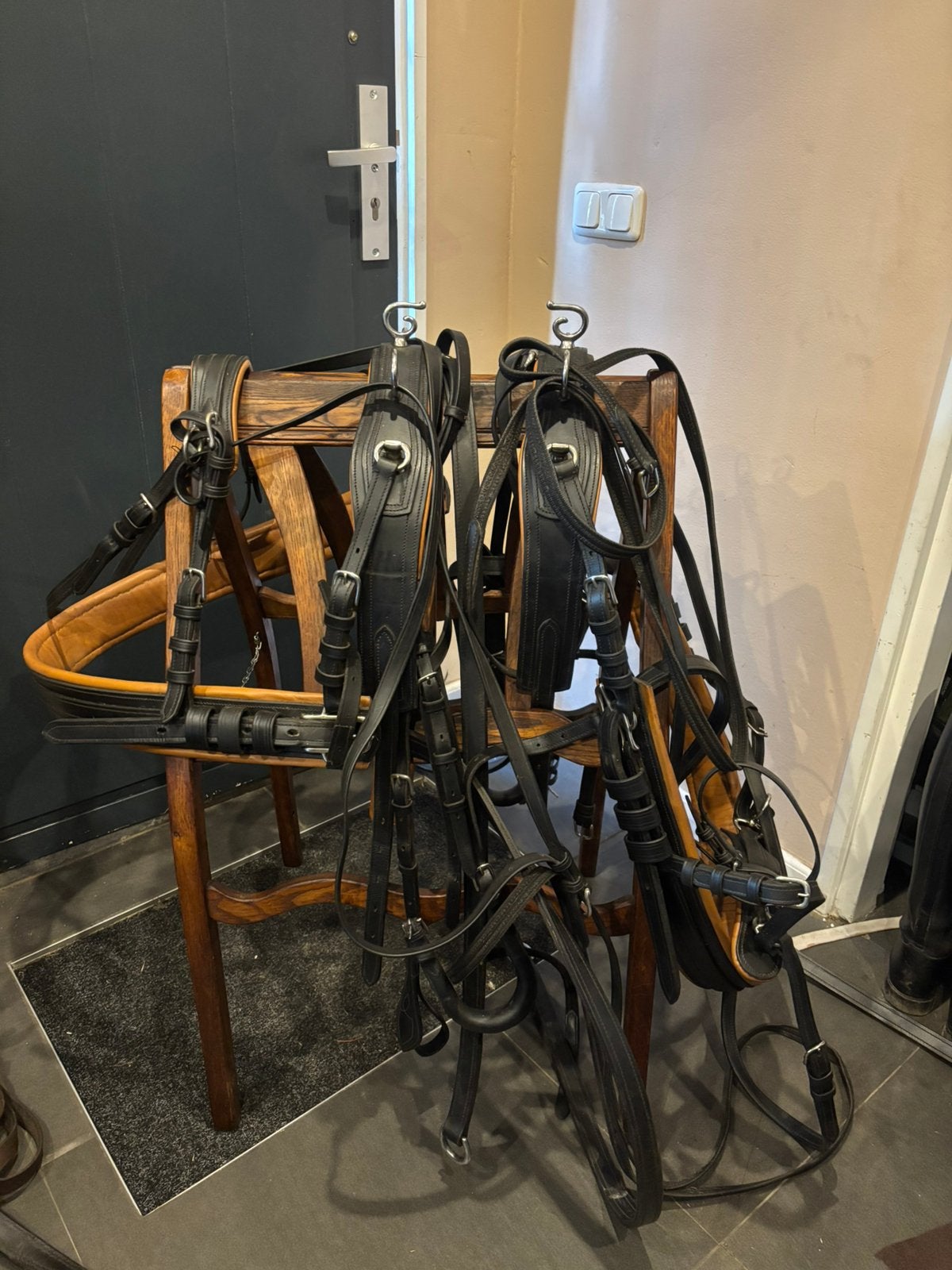 Tweespan pony tuig, Ideal Equestrian, Overige disciplines, Meerkleurig, Mentuig