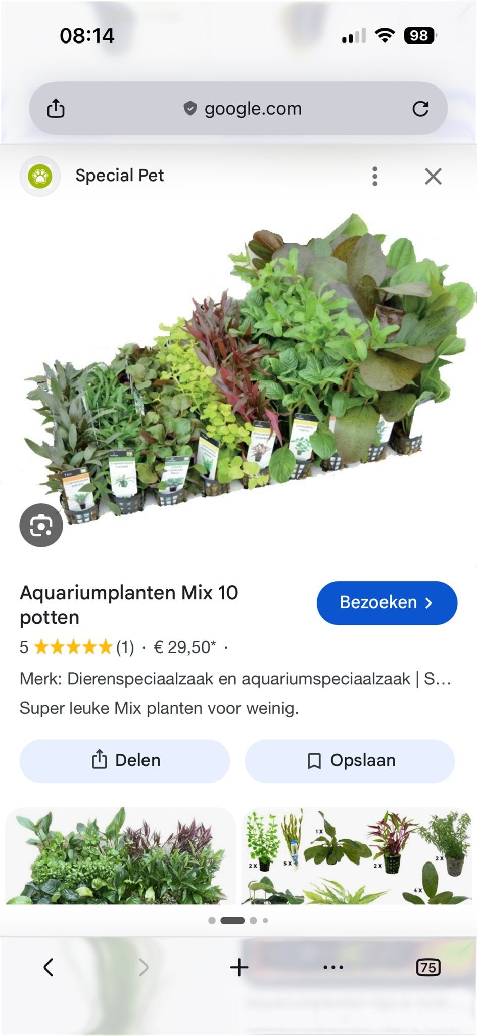 Gezocht, aquarium planten, Dieren en Toebehoren, Ophalen