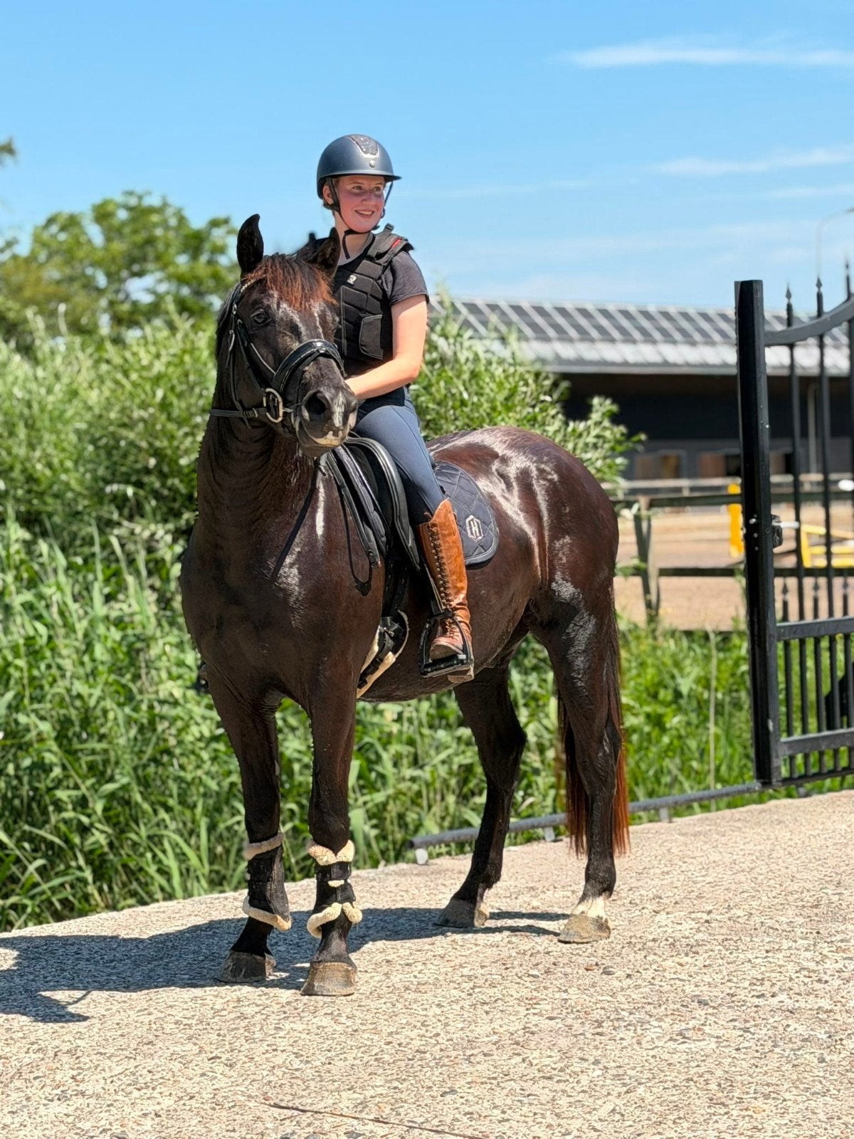 Lieve allround pony, Minder dan 160 cm, B, Ruin, 3 tot 6 jaar