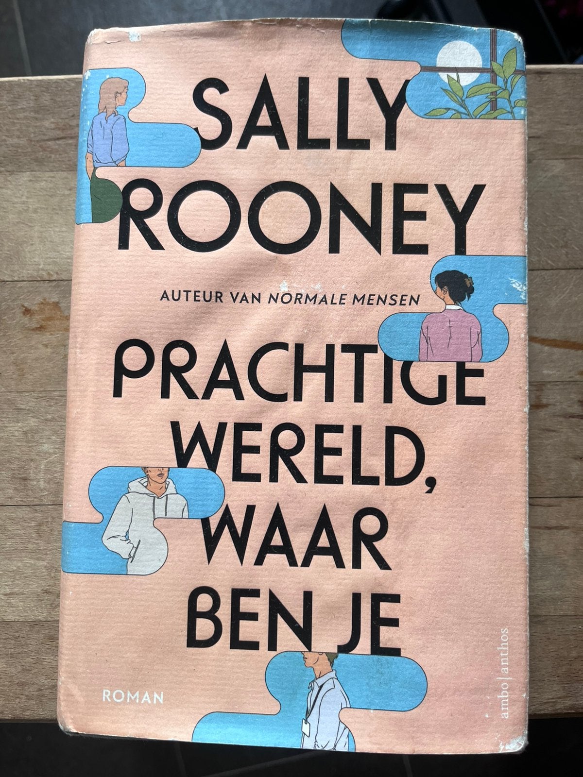 Sally Rooney - Prachtige wereld, waar ben je, Ophalen of Verzenden, Gelezen, Sally Rooney