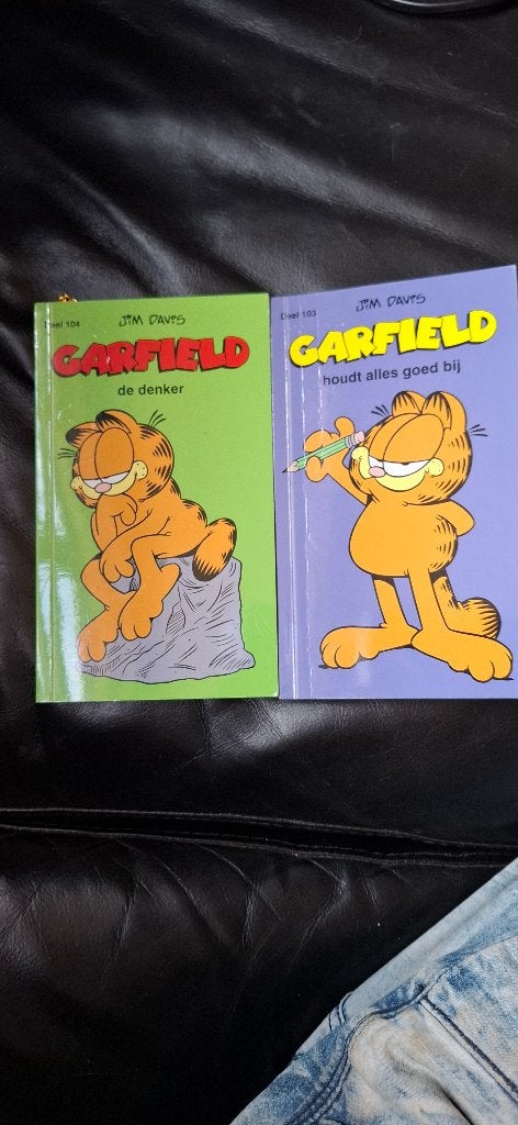 Garfield, Alle leeftijden, Ophalen of Verzenden, Zo goed als nieuw, Non-fictie