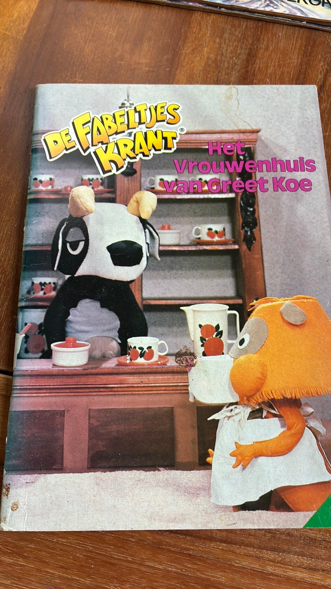De fabeltjeskrant het vrouwenhuis van Greet Koe, Boeken, Stripboeken, Eén stripboek, Ophalen of Verzenden, Zo goed als nieuw