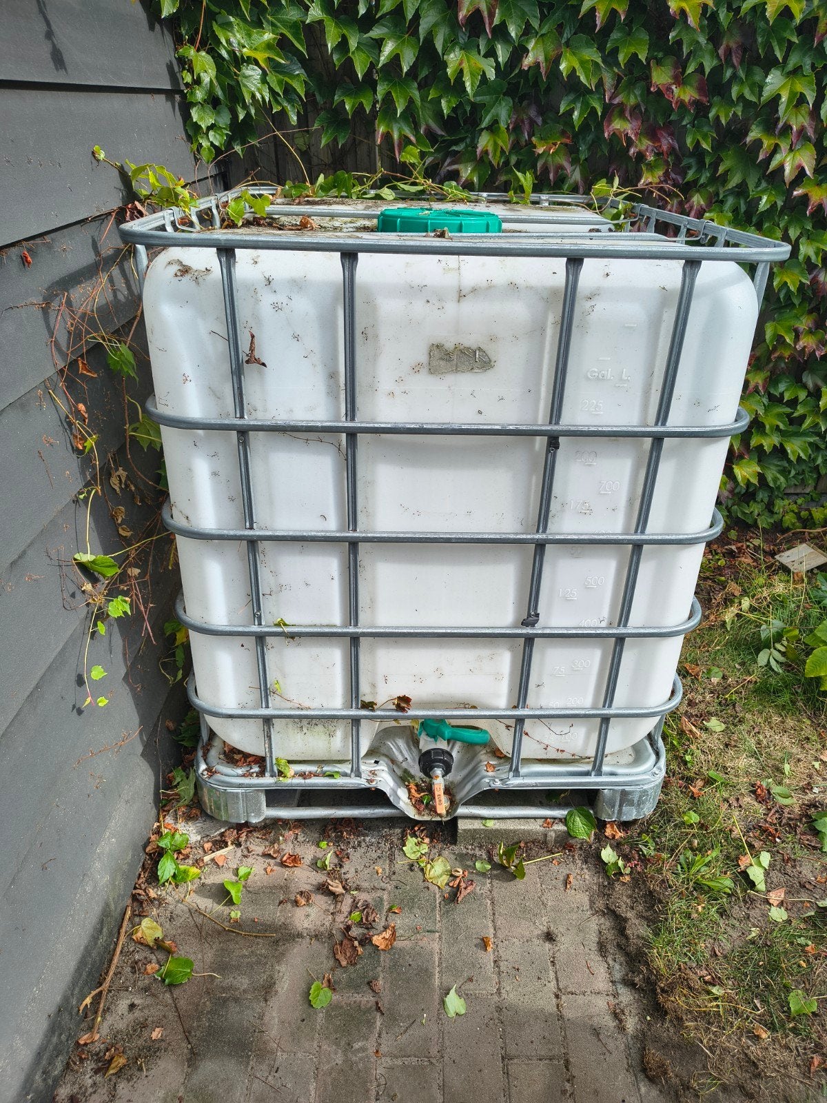 ibc tank 1000L, 150 liter of meer, Ophalen, Gebruikt
