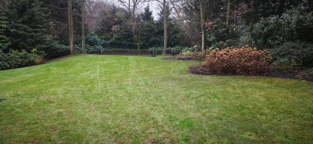 Tuinman, Tuin en Terras, Gras en Kunstgras, Ophalen of Verzenden, Nieuw, 20 m² of meer