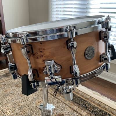TAMA Starphonic Maple 14x6 – Mappa Burl, Ophalen of Verzenden, Zo goed als nieuw, Tama
