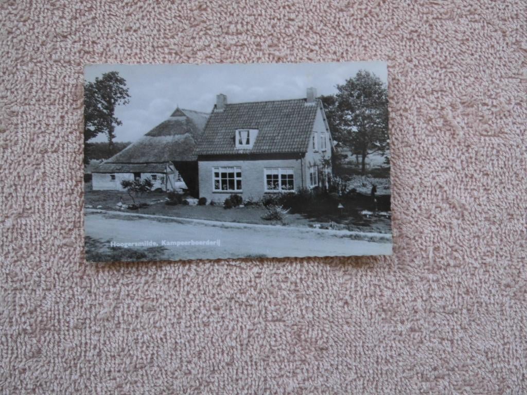 Hoogersmilde , Kampeerboerderij., Verzamelen, Ansichtkaarten | Nederland, Ophalen of Verzenden, 1940 tot 1960, Ongelopen, Drenthe