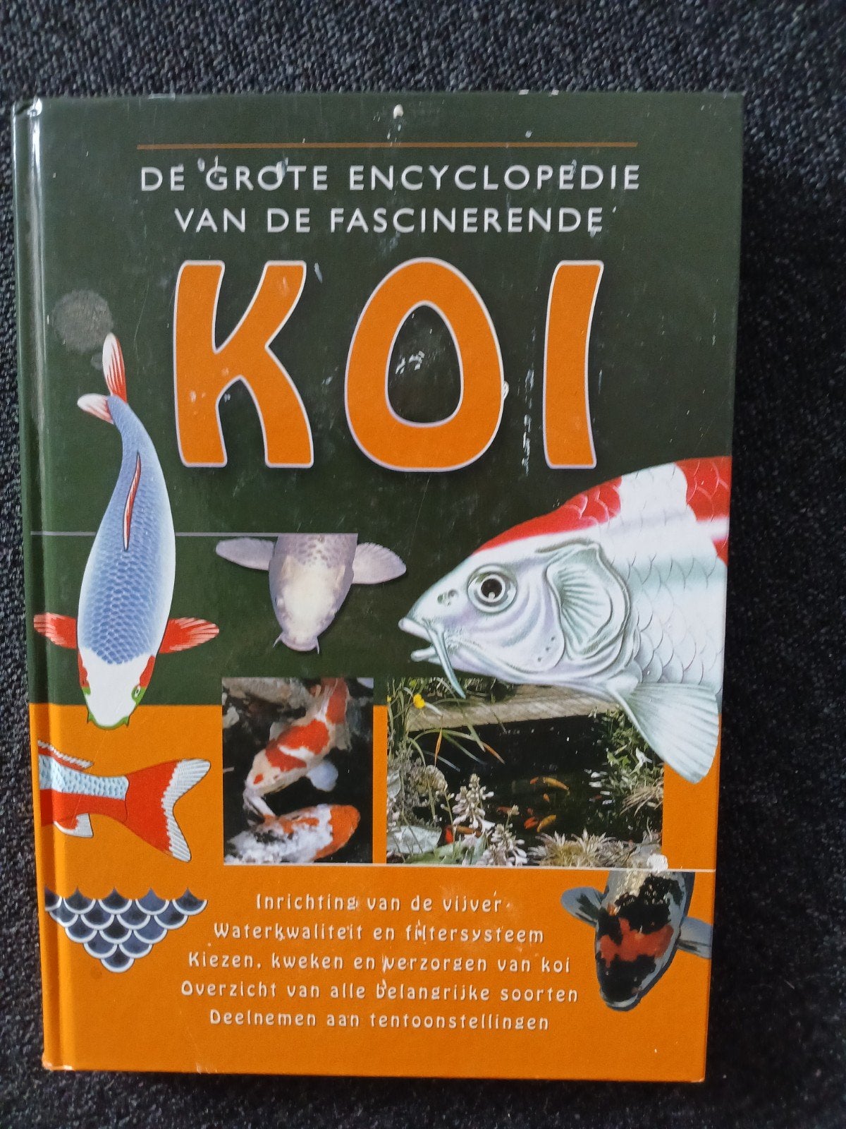 Koi encyclopedie, Dieren en Toebehoren, Vissen | Vijvervissen, Karper of Koi