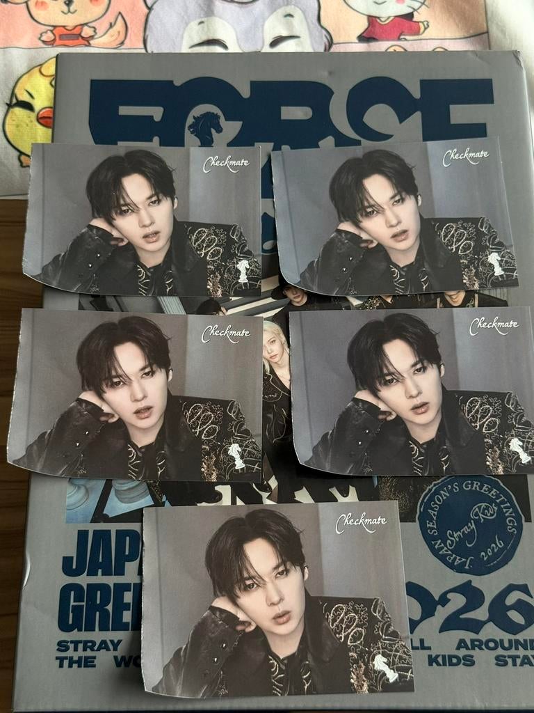 Stray Kids Lee Know plaatjes force, Ophalen of Verzenden, Zo goed als nieuw, Foto of Kaart