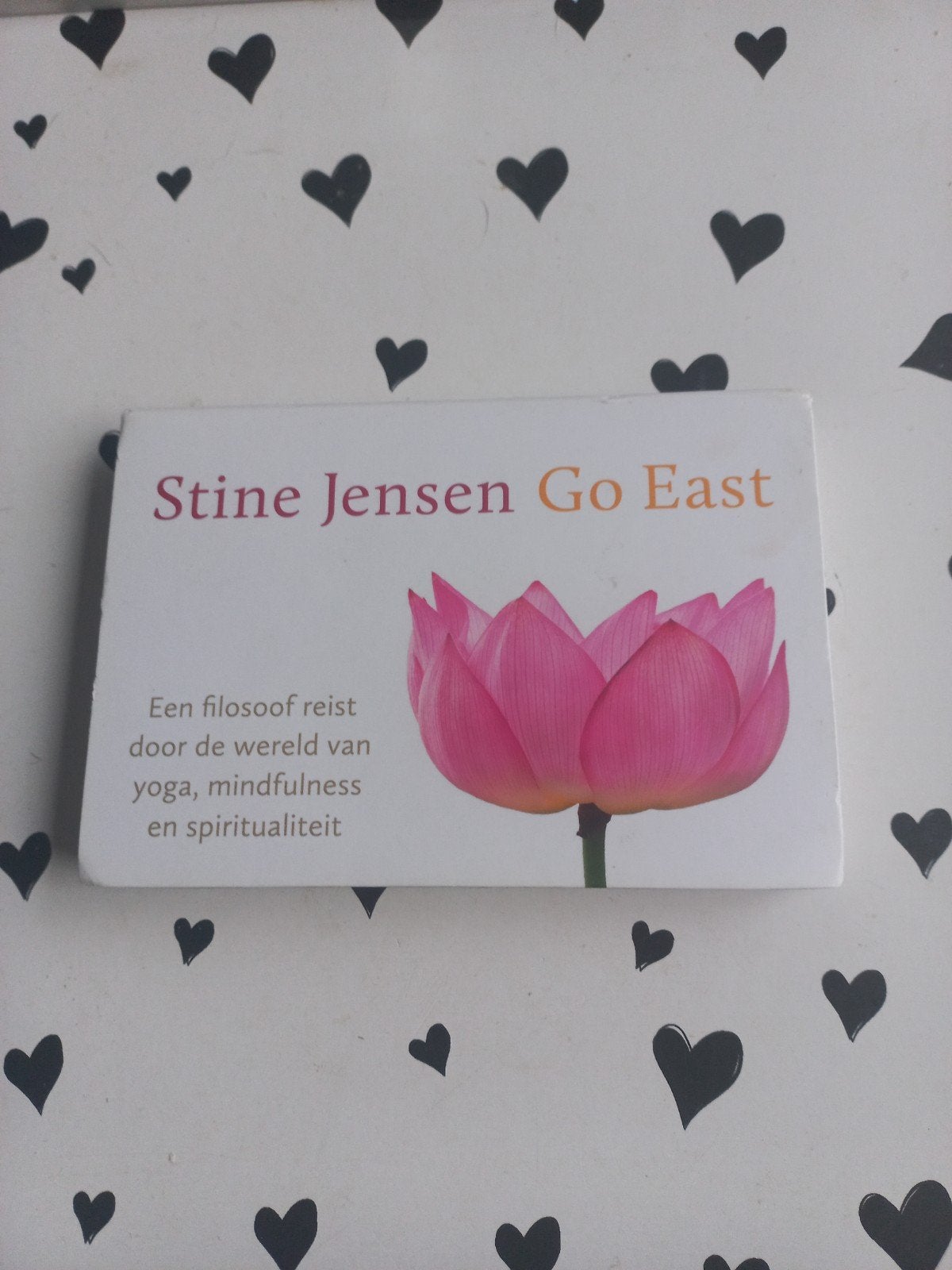 Stine Jensen - Go east, Boeken, Ophalen of Verzenden, Nieuw, Stine Jensen